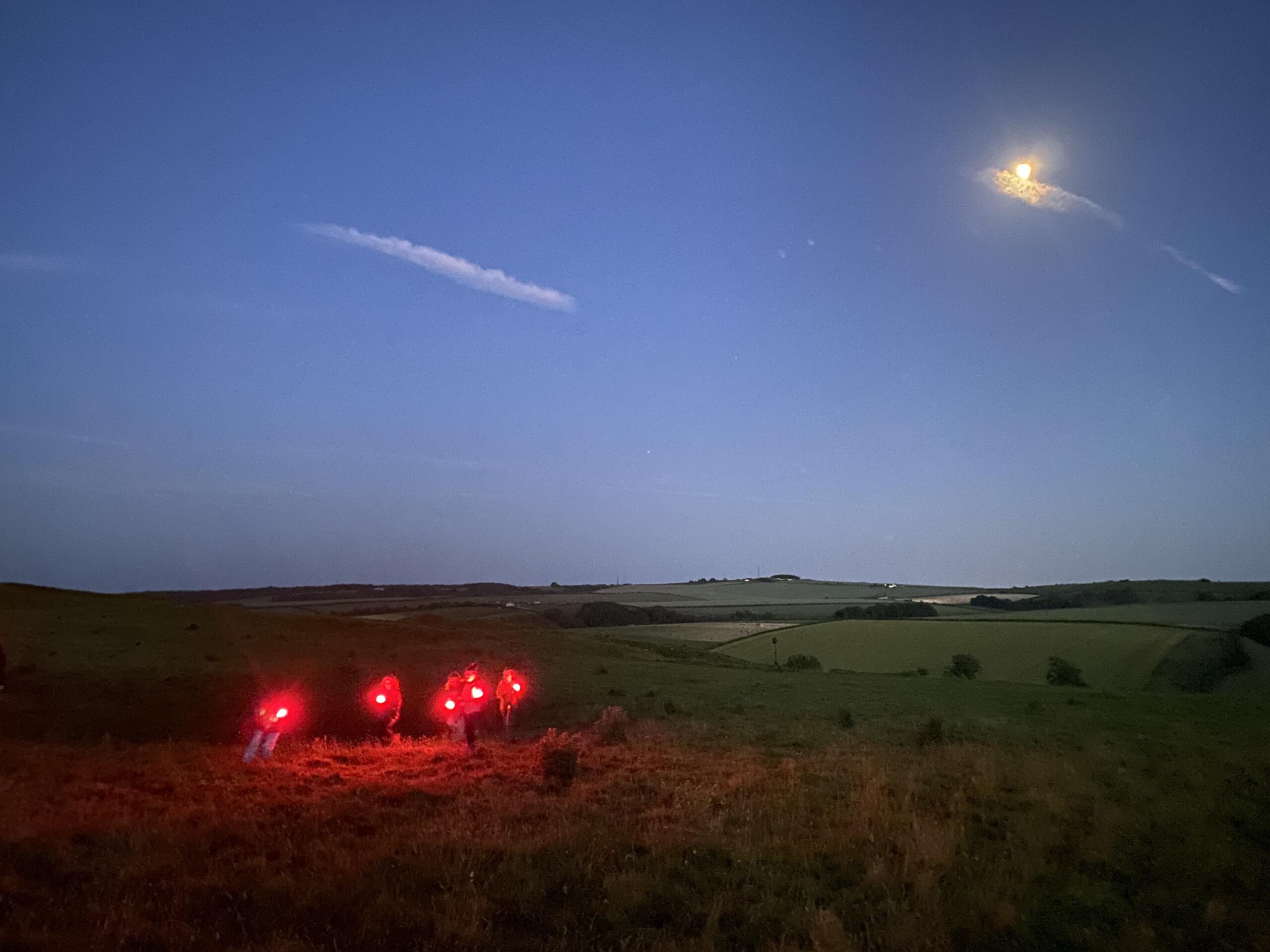 Akademi Akademi choreographs for Green Space Dark Skies